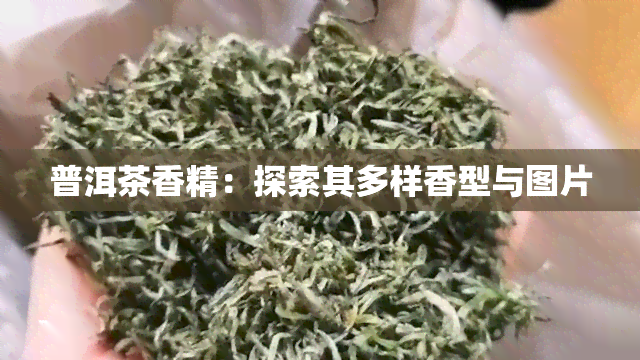 普洱茶香精：探索其多样香型与图片