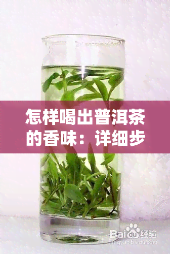 怎样喝出普洱茶的香味：详细步骤与技巧