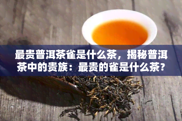 最贵普洱茶雀是什么茶，揭秘普洱茶中的贵族：最贵的雀是什么茶？