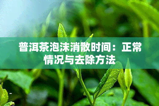 普洱茶泡沫消散时间：正常情况与去除方法