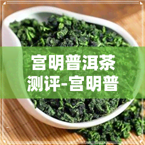 宫明普洱茶测评-宫明普洱茶怎么样