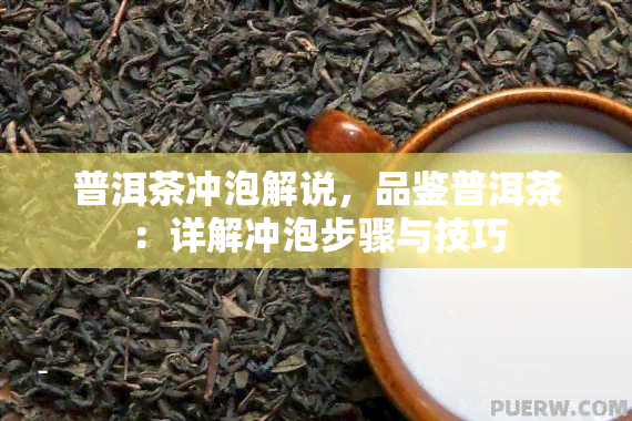 普洱茶冲泡解说，品鉴普洱茶：详解冲泡步骤与技巧