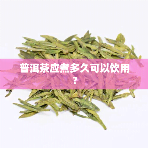 普洱茶应煮多久可以饮用？