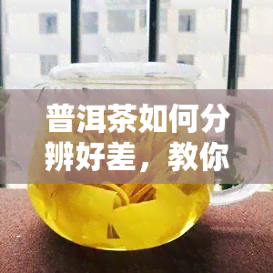 普洱茶如何分辨好差，教你如何鉴别普洱茶的好坏，一看二闻三品，轻松成为品茶高手！