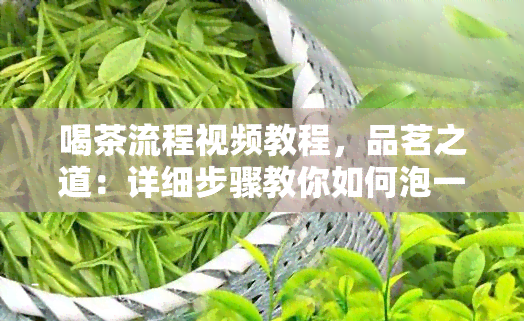 喝茶流程视频教程，品茗之道：详细步骤教你如何泡一杯好茶！