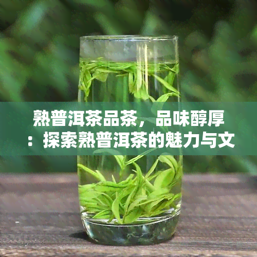 熟普洱茶品茶，品味醇厚：探索熟普洱茶的魅力与文化