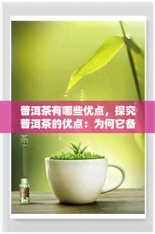 普洱茶有哪些优点，探究普洱茶的优点：为何它备受推崇？