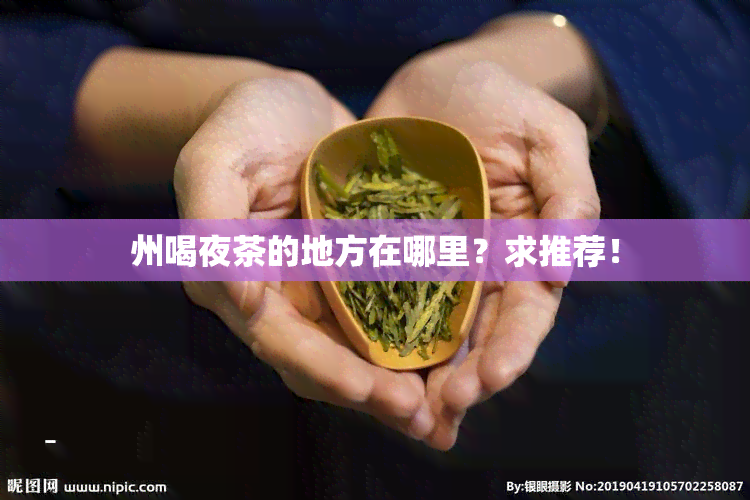 州喝夜茶的地方在哪里？求推荐！