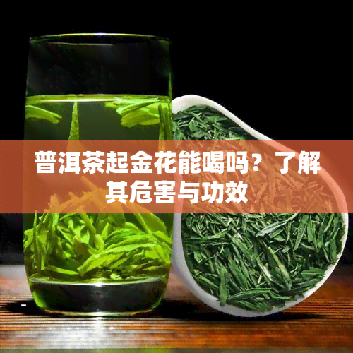 普洱茶起金花能喝吗？了解其危害与功效