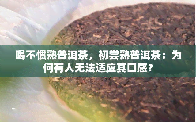 喝不惯熟普洱茶，初尝熟普洱茶：为何有人无法适应其口感？