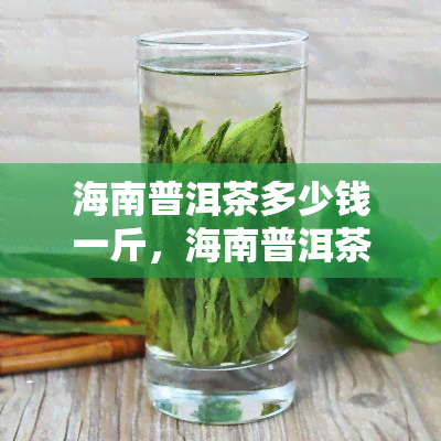 海南普洱茶多少钱一斤，海南普洱茶价格查询：每斤多少钱？