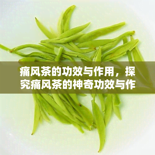 痛风茶的功效与作用，探究痛风茶的神奇功效与作用，缓解痛风症状的秘密武器