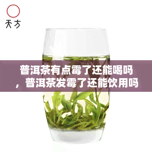 普洱茶有点霉了还能喝吗，普洱茶发霉了还能饮用吗？专家解析茶叶变质问题