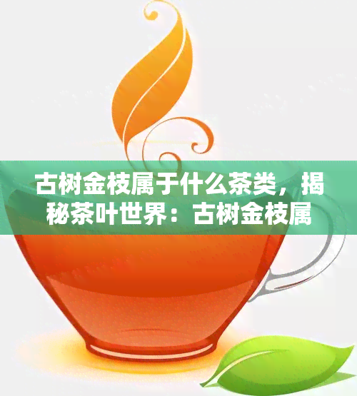 古树金枝属于什么茶类，揭秘茶叶世界：古树金枝属于哪种茶类？