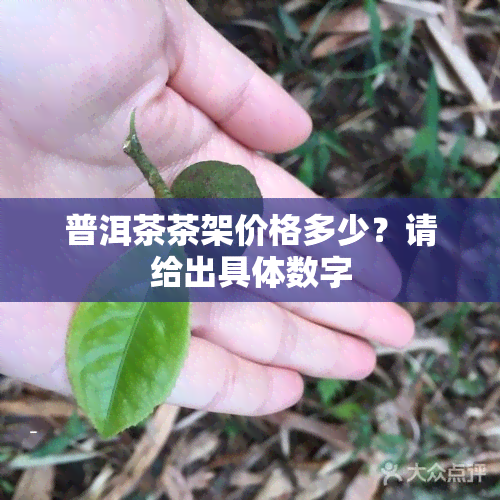 普洱茶茶架价格多少？请给出具体数字