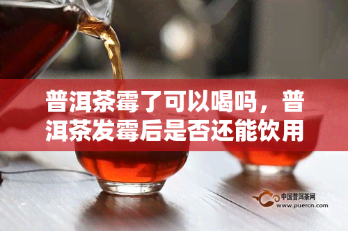 普洱茶霉了可以喝吗，普洱茶发霉后是否还能饮用？