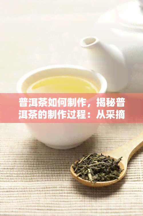 普洱茶如何制作，揭秘普洱茶的制作过程：从采摘到压制，一步步详解