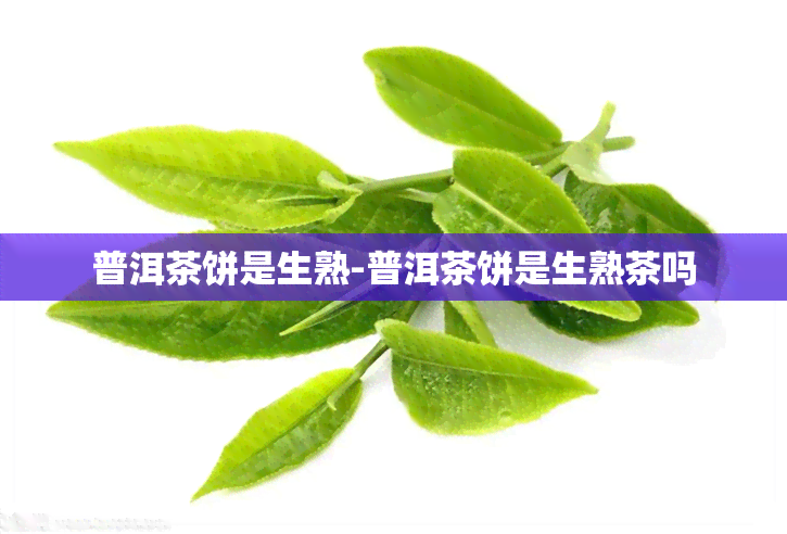 普洱茶饼是生熟-普洱茶饼是生熟茶吗