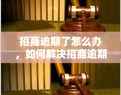 招商逾期了怎么办，如何解决招商逾期问题？一份详细的应对策略