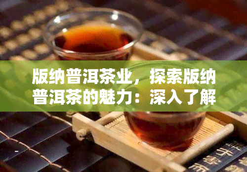 版纳普洱茶业，探索版纳普洱茶的魅力：深入了解版纳普洱茶业