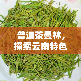 普洱茶曼林，探索云南特色：品鉴普洱茶之曼林的味道