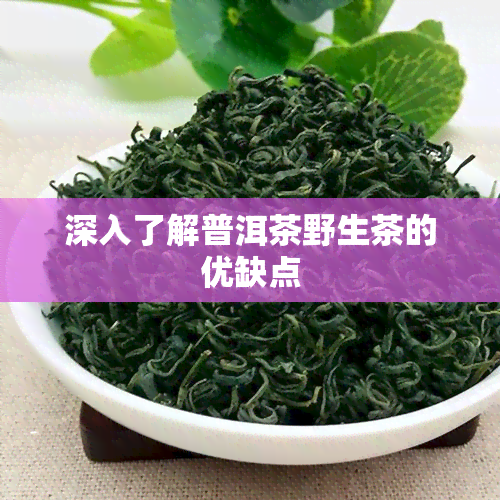 深入了解普洱茶野生茶的优缺点