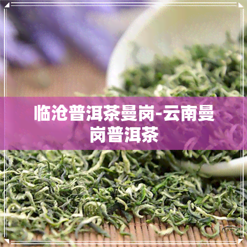 临沧普洱茶曼岗-云南曼岗普洱茶