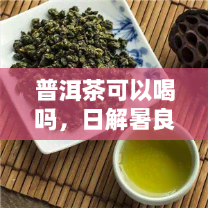 普洱茶可以喝吗，日解暑良品：探讨是否适合饮用普洱茶