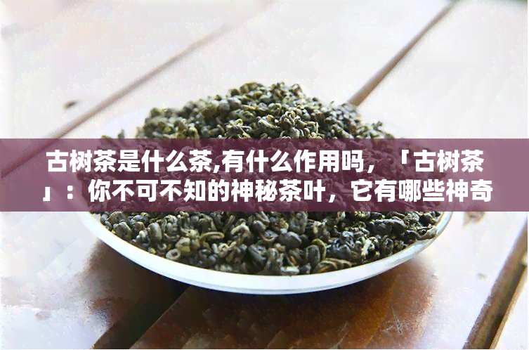 古树茶是什么茶,有什么作用吗，「古树茶」：你不可不知的神秘茶叶，它有哪些神奇功效？