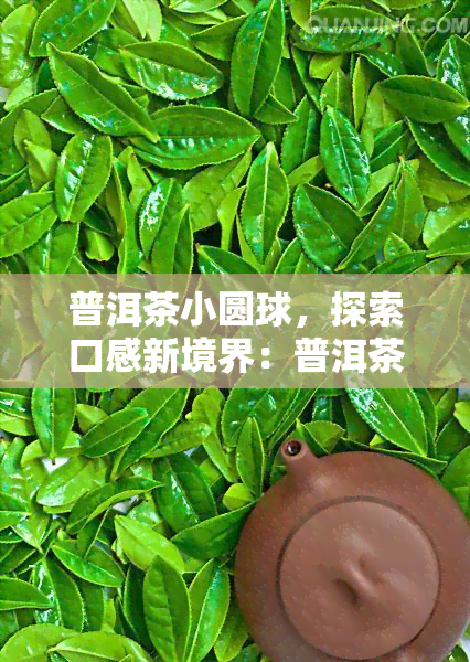 普洱茶小圆球，探索口感新境界：普洱茶小圆球的魅力