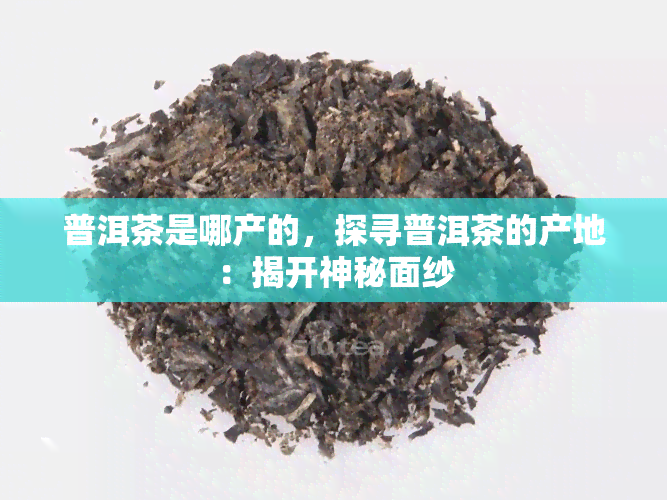 普洱茶是哪产的，探寻普洱茶的产地：揭开神秘面纱