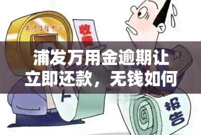 浦发万用金逾期让立即还款，无钱如何应对？逾期多久会被要求一次性结清？