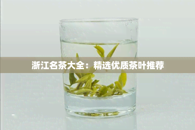 浙江名茶大全：精选优质茶叶推荐