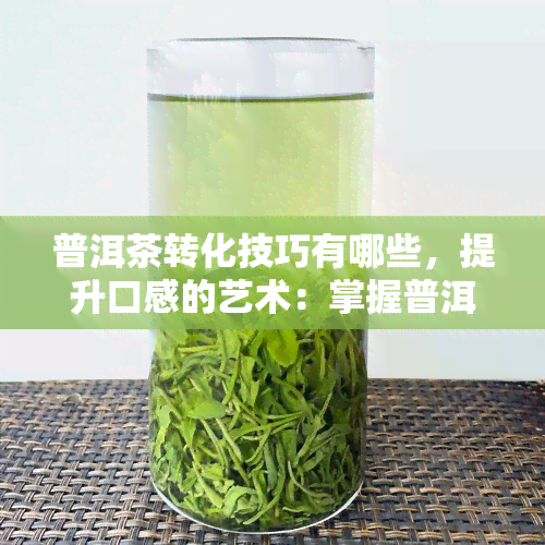 普洱茶转化技巧有哪些，提升口感的艺术：掌握普洱茶的转化技巧