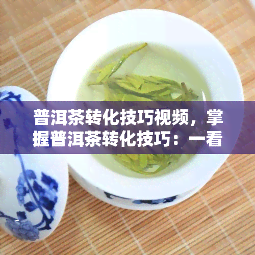 普洱茶转化技巧视频，掌握普洱茶转化技巧：一看就会的视频教程