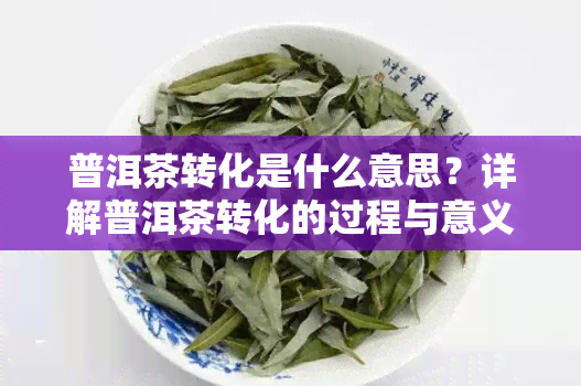 普洱茶转化是什么意思？详解普洱茶转化的过程与意义