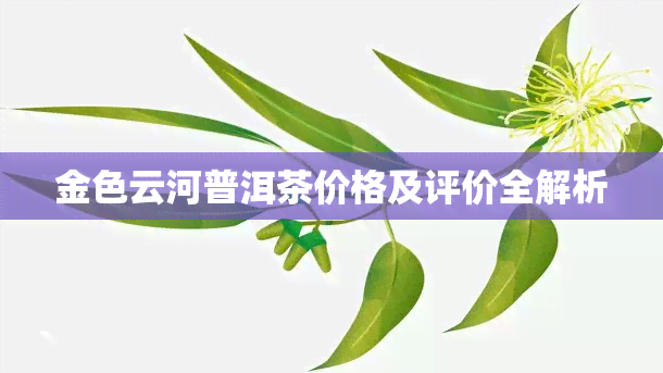 金色云河普洱茶价格及评价全解析