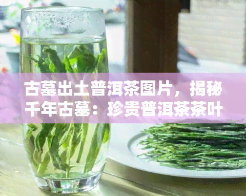 古墓出土普洱茶图片，揭秘千年古墓：珍贵普洱茶茶叶图片首次公开！