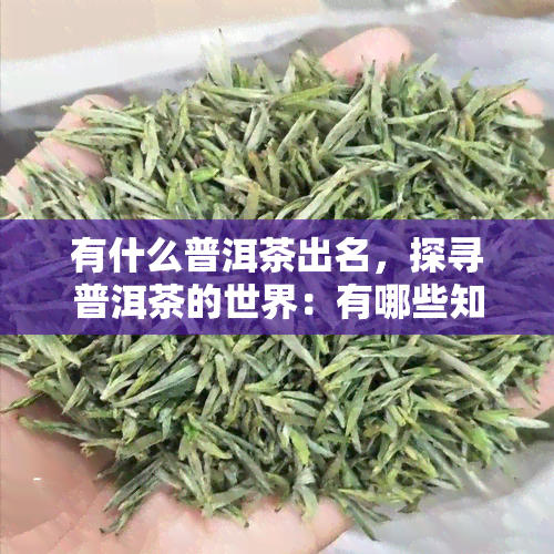 有什么普洱茶出名，探寻普洱茶的世界：有哪些知名的普洱茶？