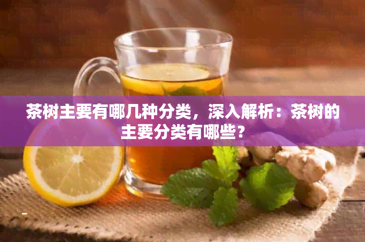 茶树主要有哪几种分类，深入解析：茶树的主要分类有哪些？