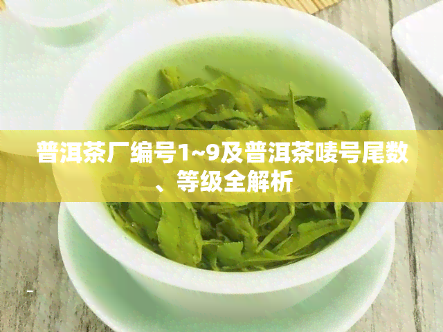 普洱茶厂编号1~9及普洱茶唛号尾数、等级全解析