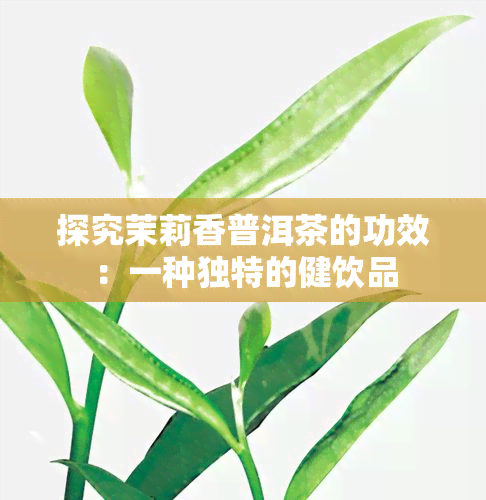 探究茉莉香普洱茶的功效：一种独特的健饮品