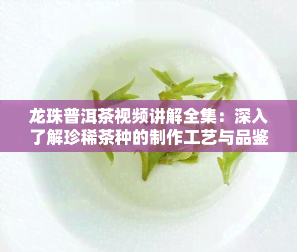 龙珠普洱茶视频讲解全集：深入了解珍稀茶种的制作工艺与品鉴方法