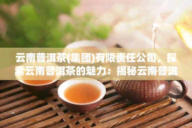 云南普洱茶(集团)有限责任公司，探索云南普洱茶的魅力：揭秘云南普洱茶(集团)有限责任公司的故事