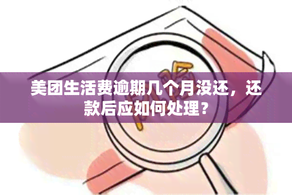 美团生活费逾期几个月没还，还款后应如何处理？