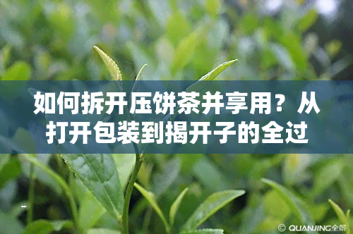 如何拆开压饼茶并享用？从打开包装到揭开子的全过程解析