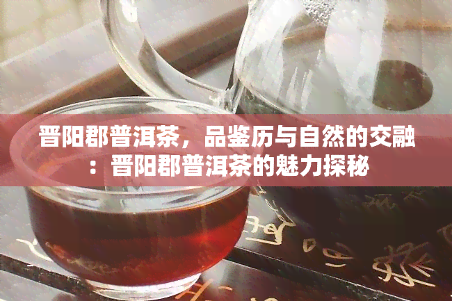 晋阳郡普洱茶，品鉴历与自然的交融：晋阳郡普洱茶的魅力探秘