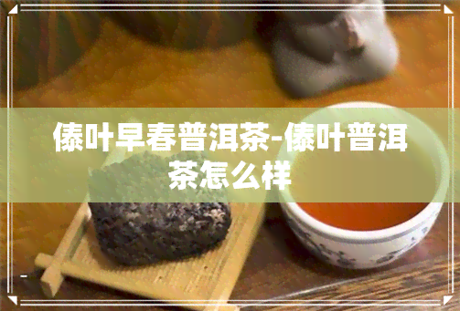 傣叶早春普洱茶-傣叶普洱茶怎么样