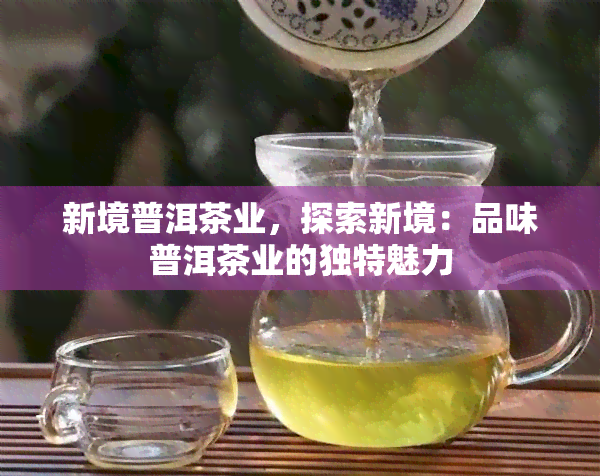 新境普洱茶业，探索新境：品味普洱茶业的独特魅力