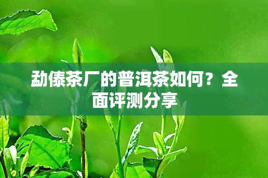 勐傣茶厂的普洱茶如何？全面评测分享